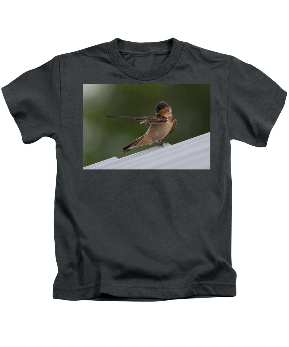 Barn Swallow Kids T-Shirt featuring the photograph Barn Swallow by Holden The Moment
