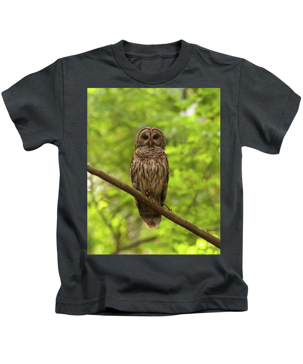 Barred Owl Kids T-Shirt featuring the photograph Barred Owl Standing Out in the Green by Paul Rebmann