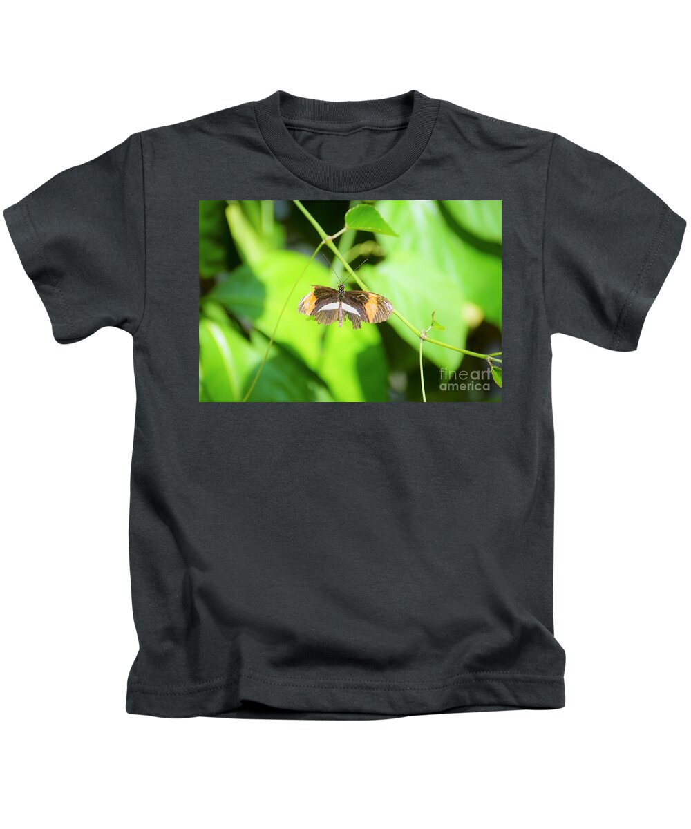 Cleveland Ohio Butterfly Kids T-Shirt featuring the photograph Battle-worn Survivor by Merle Grenz