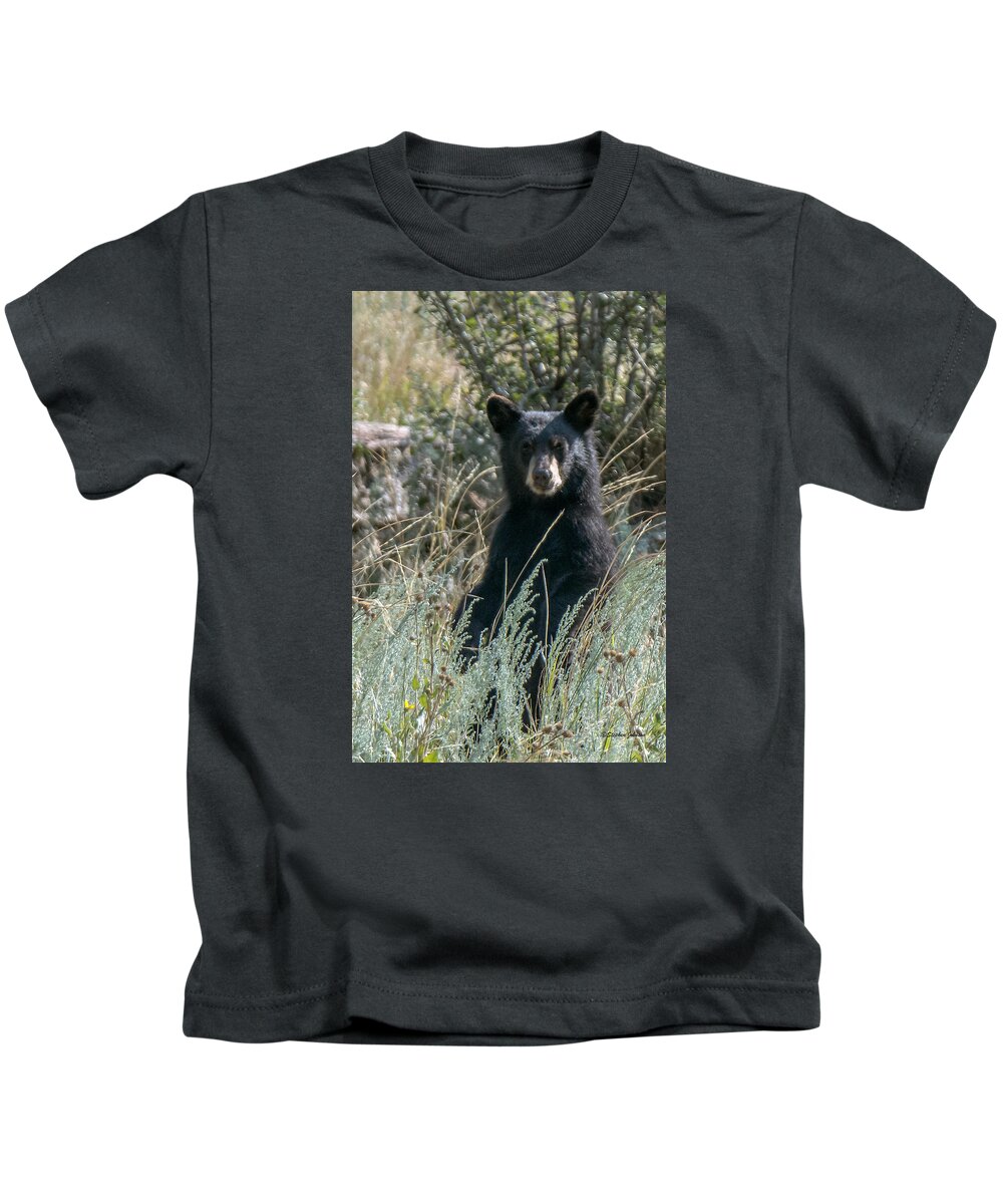 Black Bear Kids T-Shirt featuring the photograph Bear Cub At Waterton Canyon by Stephen Johnson