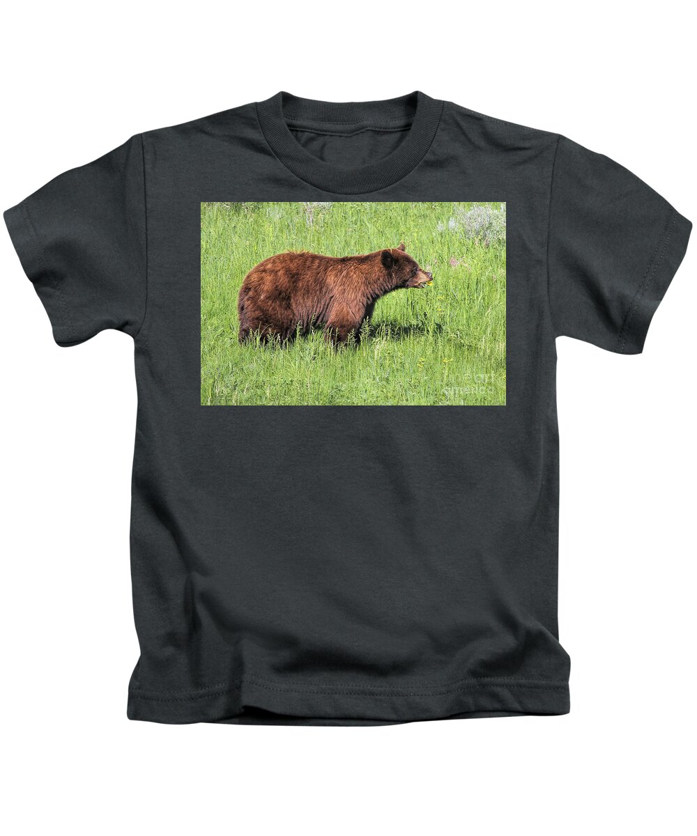 Bear Eating Daisies Kids T-Shirt featuring the photograph Bear Eating Daisies by Jemmy Archer