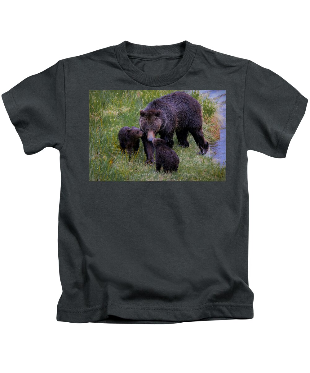 A Grizzly Bear And Her Cubs Were Definitely Not Afraid Of The Rain And Ventured Out For A Fun Morning Of Play And Affection. Kids T-Shirt featuring the photograph Bearly Wet by Ryan Smith