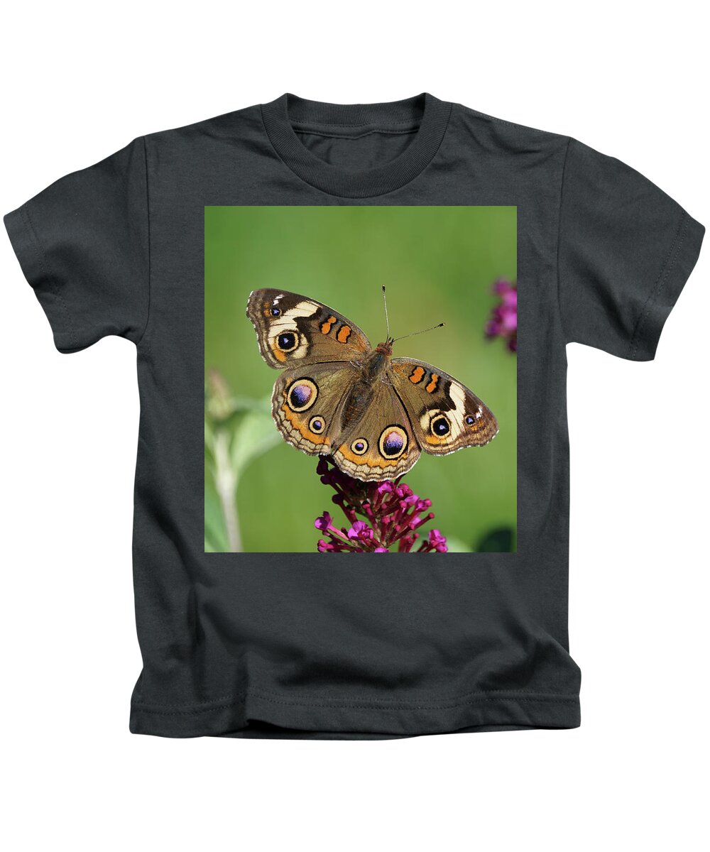 Butterfly Kids T-Shirt featuring the photograph Beautiful Buckeye Butterfly by Robert E Alter Reflections of Infinity