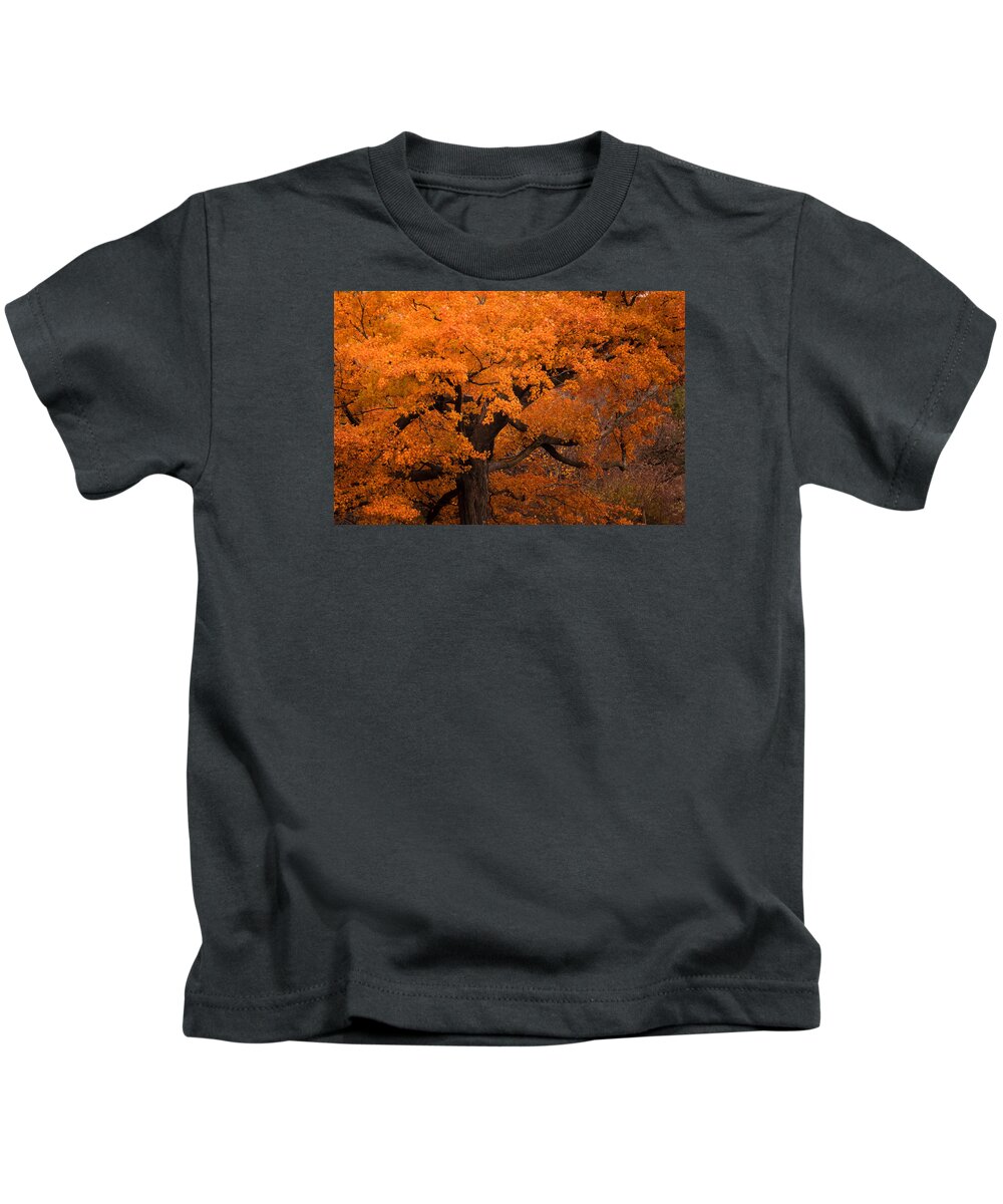 Gold Kids T-Shirt featuring the photograph Beautiful orange tree on a fall day by Joni Eskridge