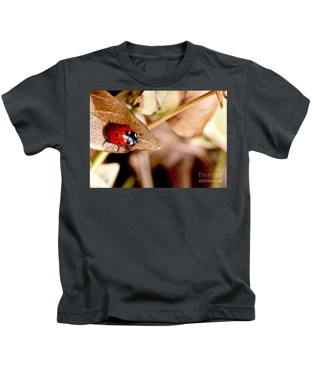 Ladybug Kids T-Shirt featuring the photograph Beetle Coccinellidae by Elisabeth Derichs