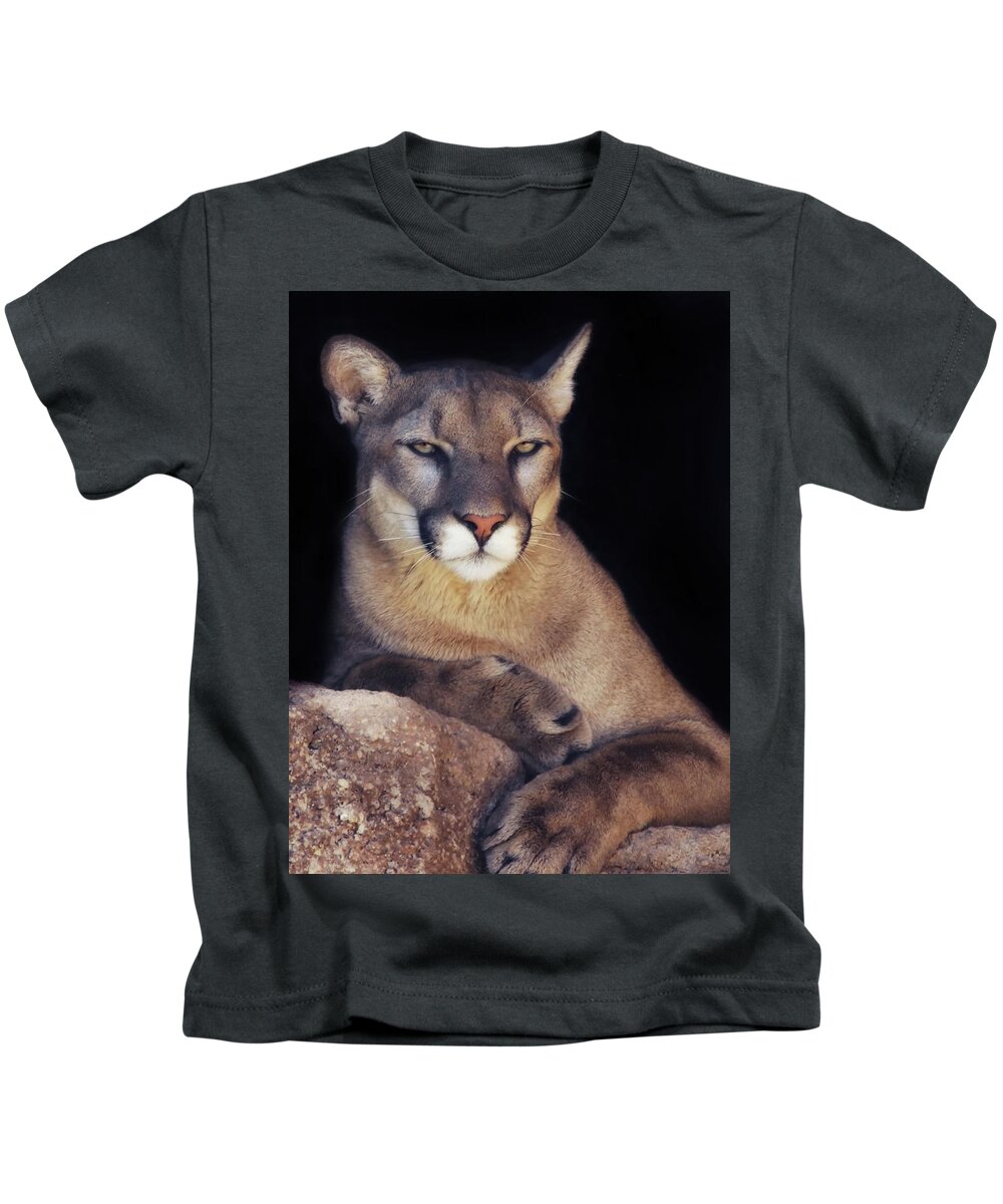 Mountain Lions Kids T-Shirt featuring the photograph Being Observant by Elaine Malott