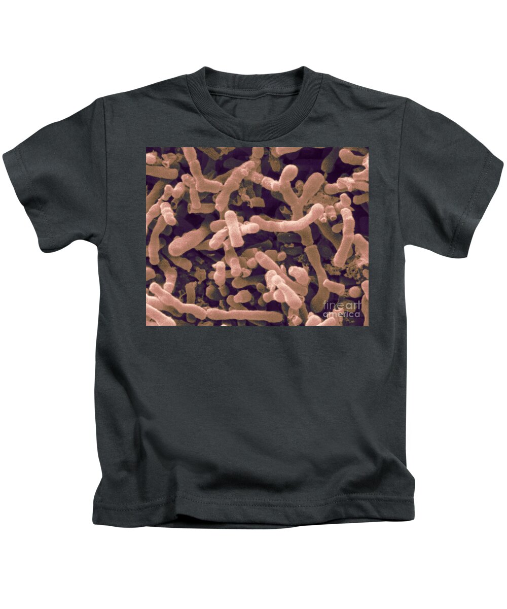 Bifidobacterium Longum Kids T-Shirt featuring the photograph Bifidobacterium Longum, Sem by Scimat