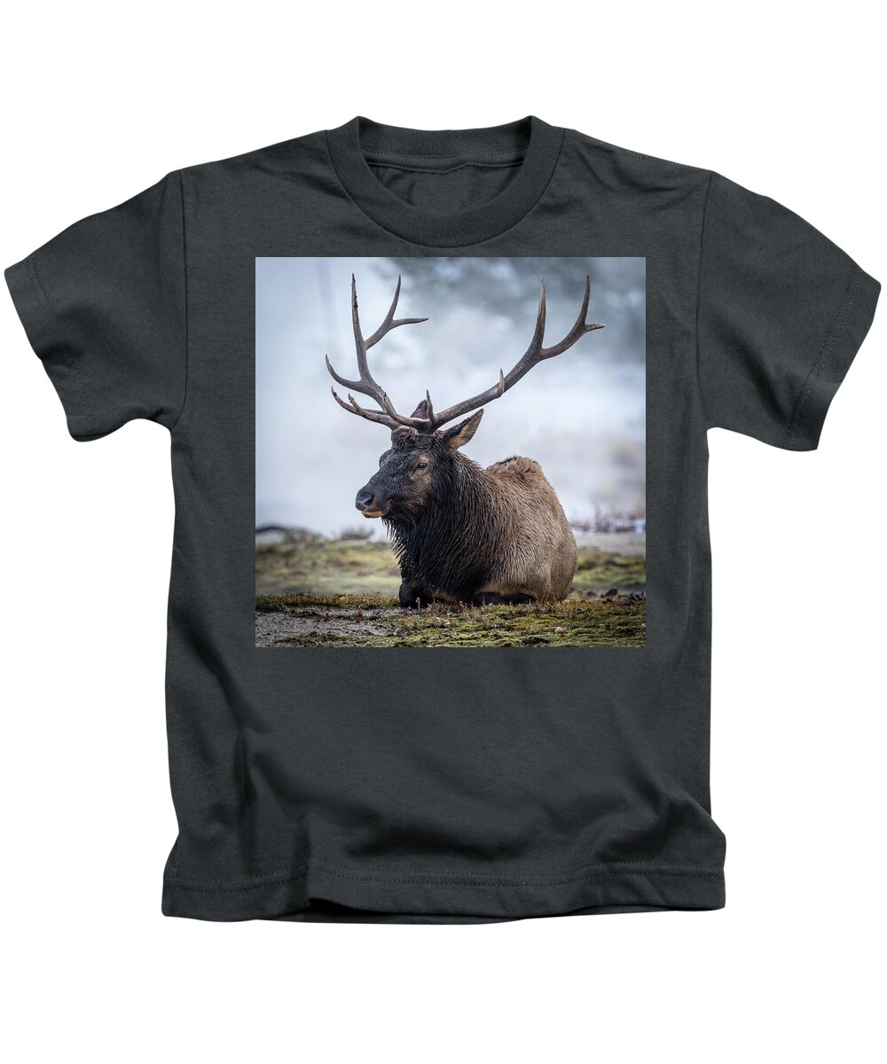 Landscape Kids T-Shirt featuring the photograph Big Boy by Gary Migues