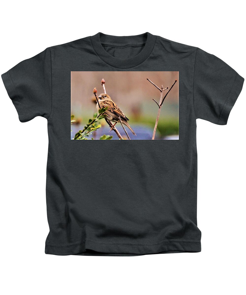 Bird Kids T-Shirt featuring the photograph Bird in the Cold by Chuck Brown