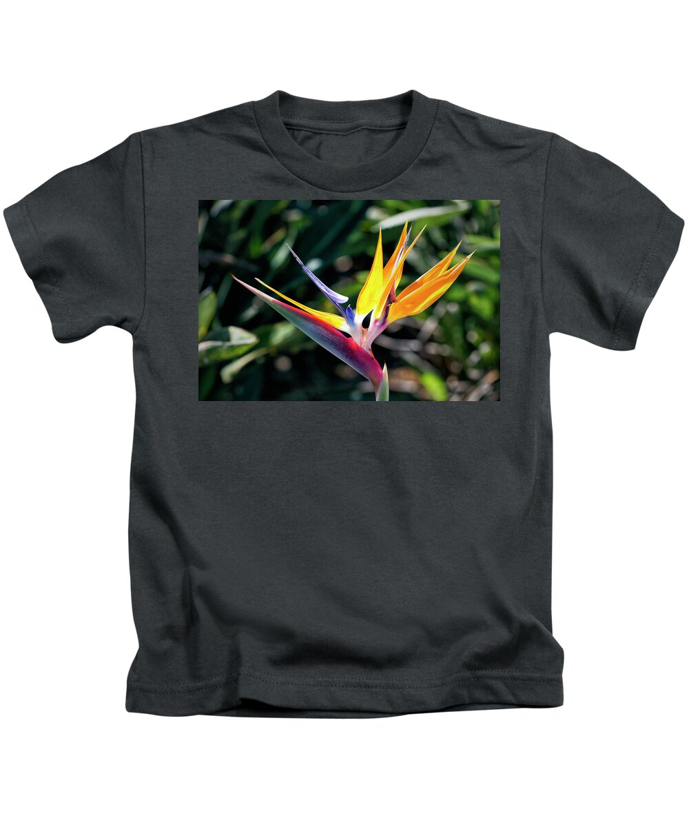 Granger Photography Kids T-Shirt featuring the photograph Bird Of Paradise by Brad Granger