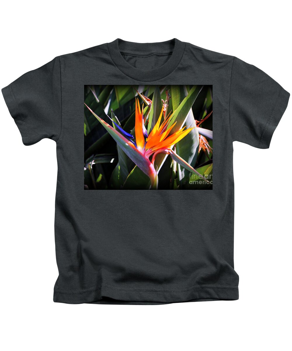 Flower Kids T-Shirt featuring the photograph Bird of Paradise by Diann Fisher