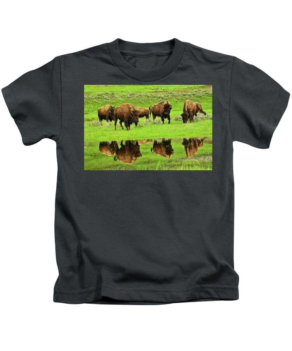 Bison Kids T-Shirt featuring the photograph Bison Spring Reflections by Greg Norrell