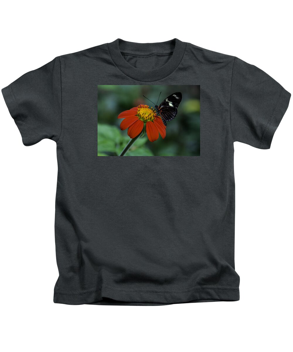 Black Kids T-Shirt featuring the photograph Black Butterfly on Orange Flower by WAZgriffin Digital