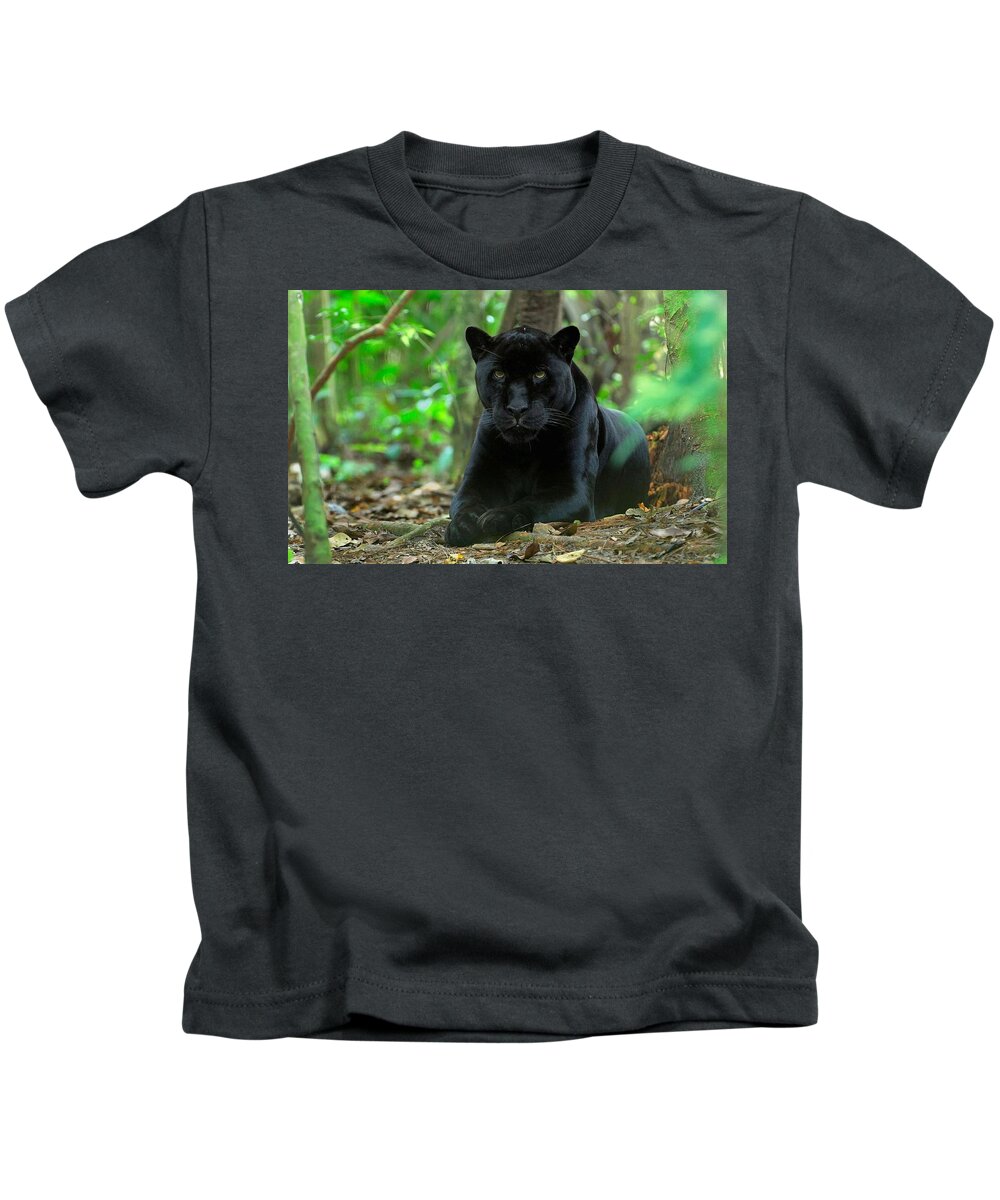 Black Panther Kids T-Shirt featuring the photograph Black Panther by Jackie Russo