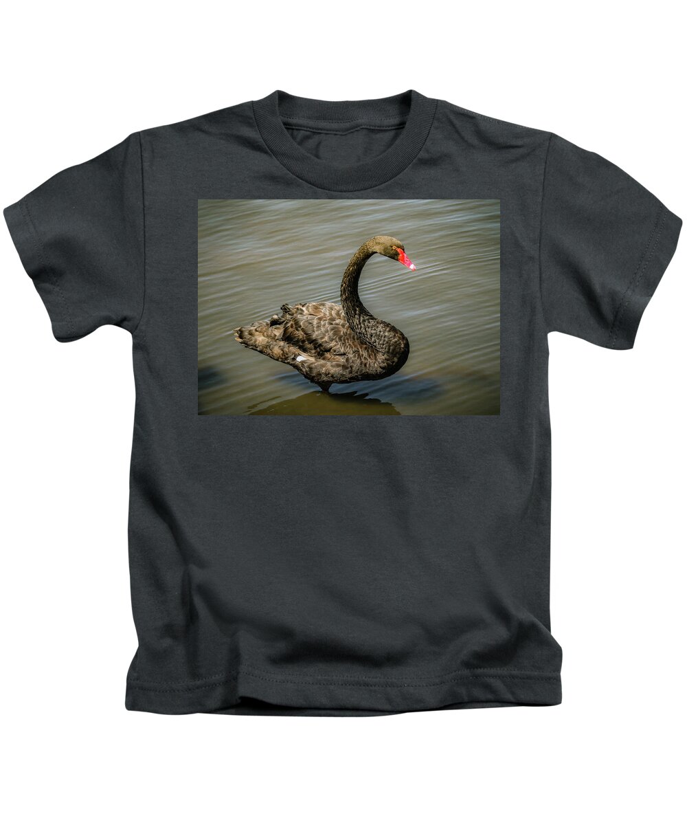  Kids T-Shirt featuring the photograph Black Swan by Alison Frank