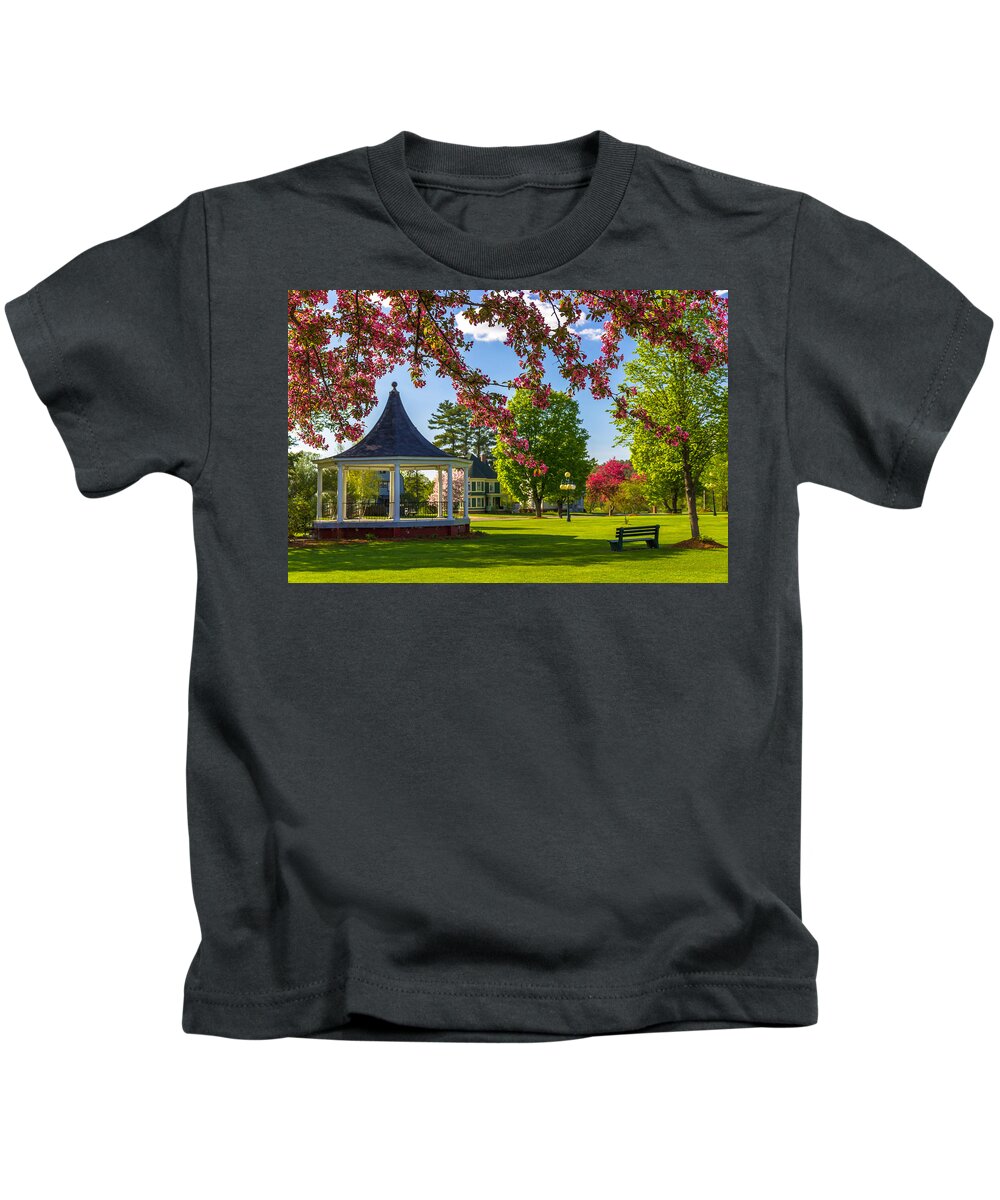 Park Kids T-Shirt featuring the photograph Blossoms and Benches by Tim Kirchoff