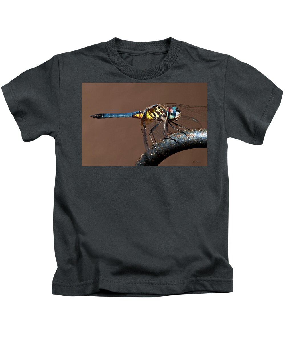 Dragonfly Kids T-Shirt featuring the photograph Blue and Gold Dragonfly by Christopher Holmes