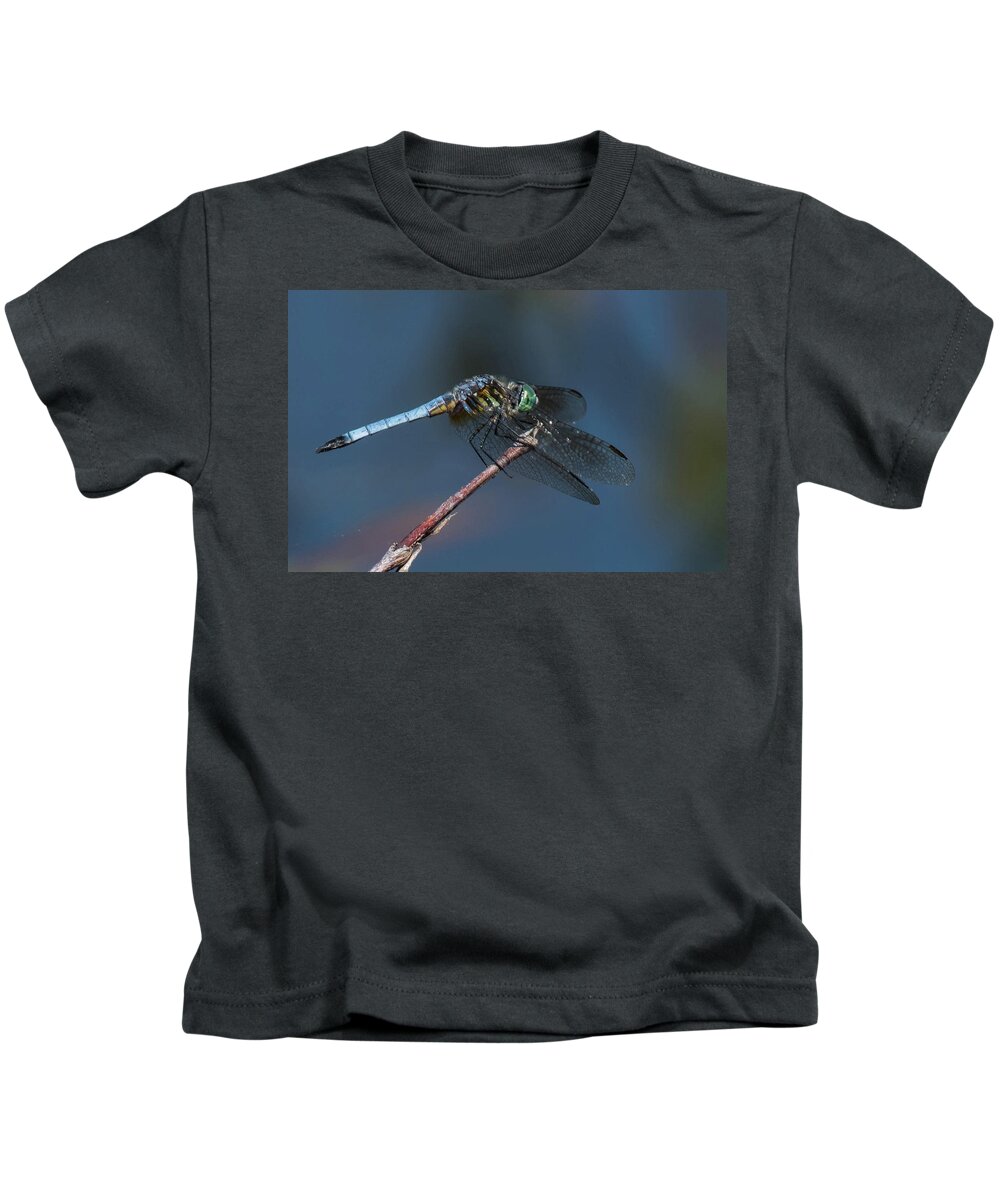 Insect Kids T-Shirt featuring the photograph Blue Dasher by Jody Partin