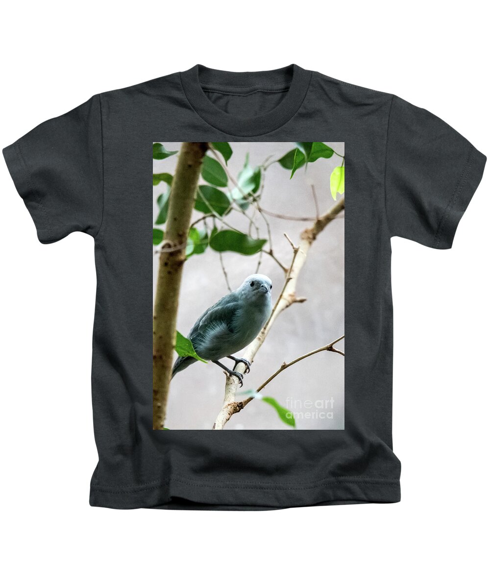 Bird Kids T-Shirt featuring the photograph Blue-Grey Tanager 2 by Ed Taylor