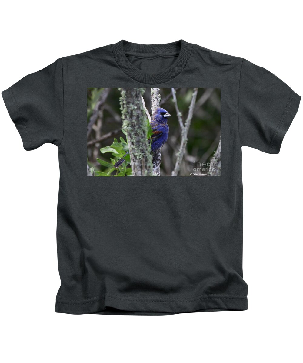 Blue Grosbeak Kids T-Shirt featuring the photograph Blue Grosbeak in a mangrove by Barbara Bowen