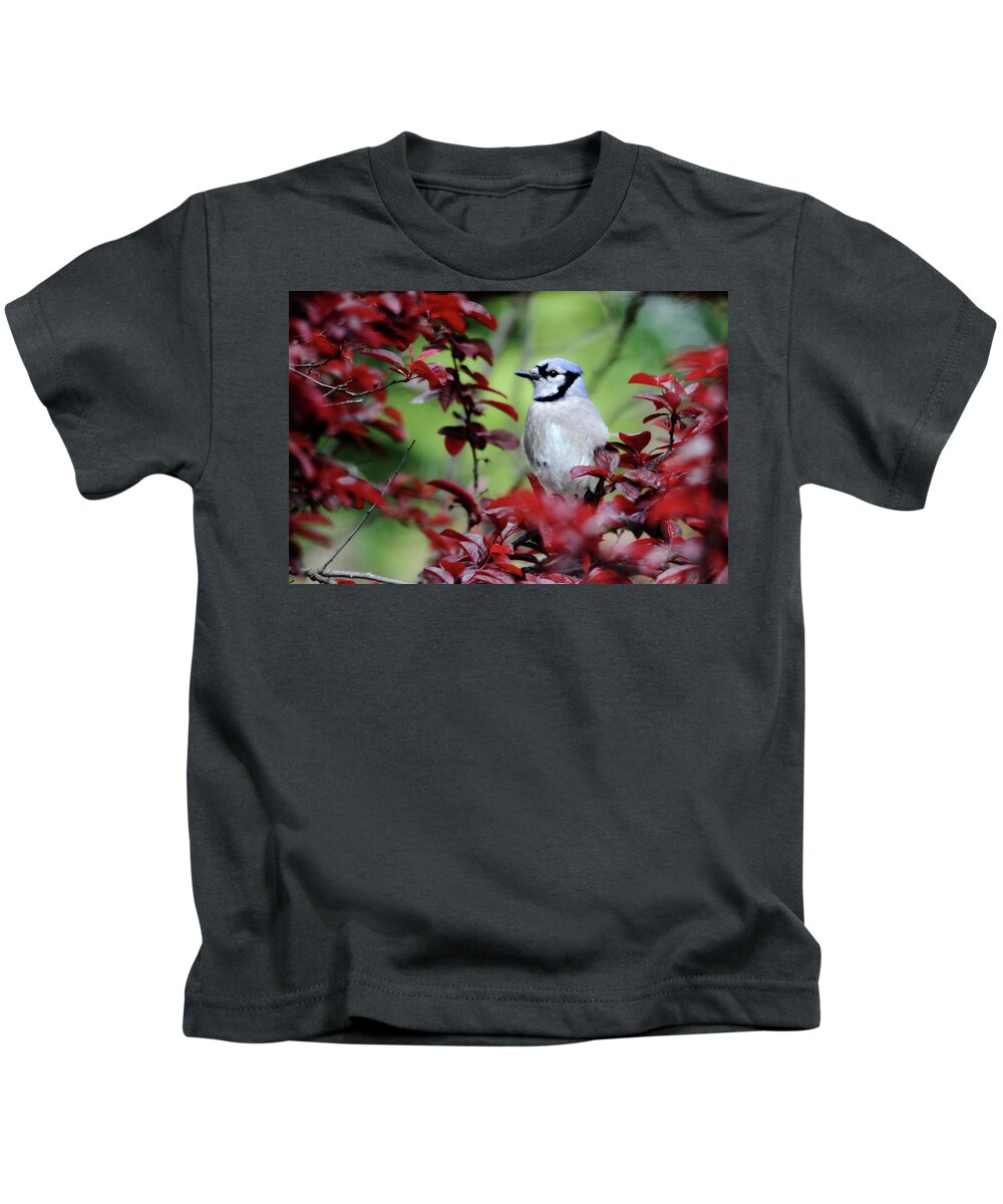 Birds Kids T-Shirt featuring the photograph Blue Jay in the Plum Tree by Trina Ansel