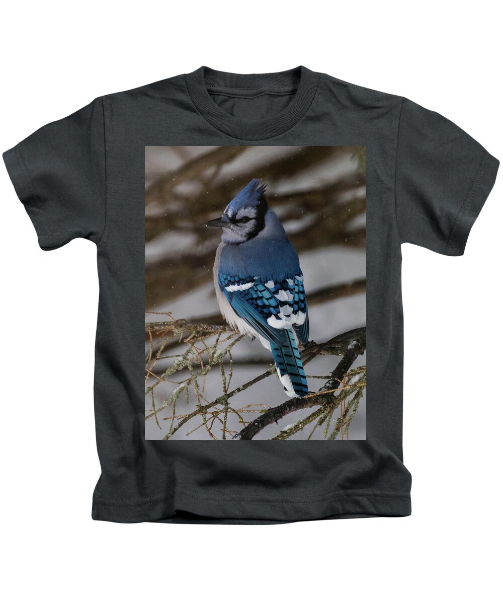 Bird Kids T-Shirt featuring the photograph Blue Jay by Jody Partin