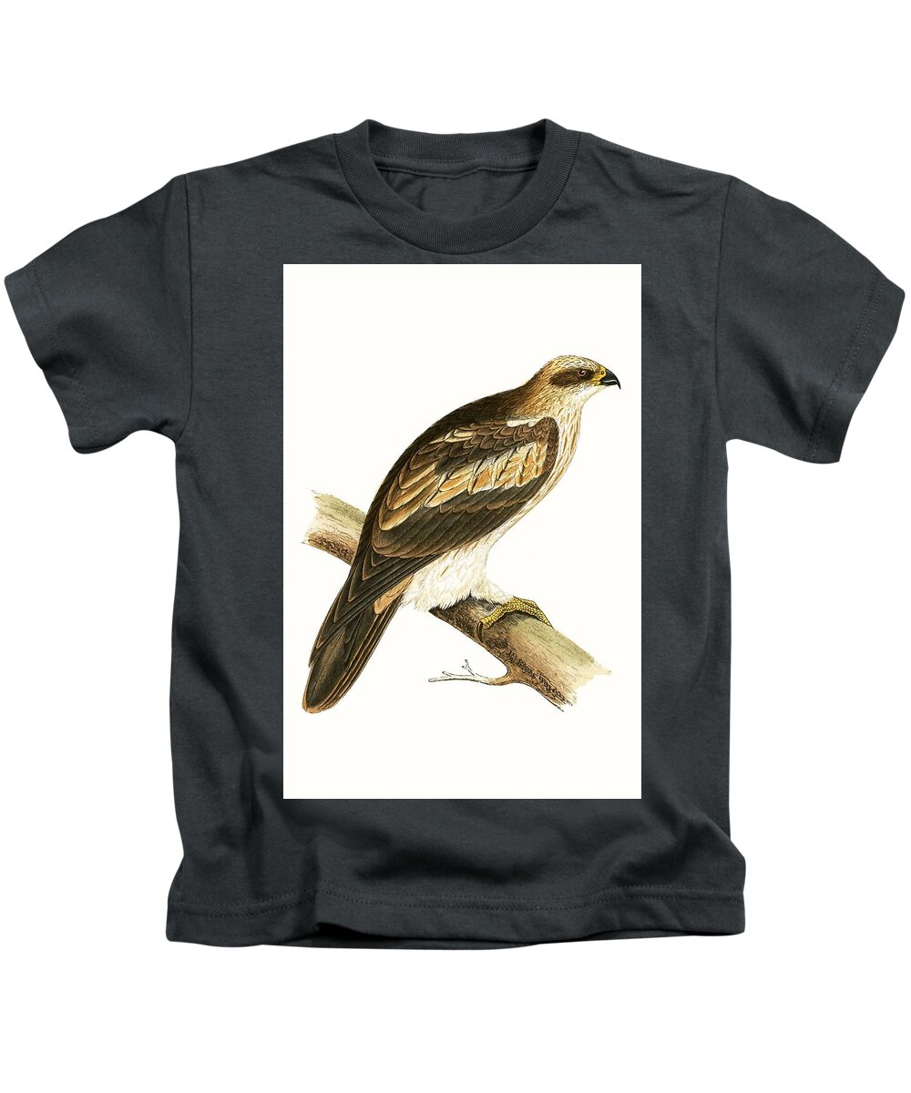 Eagle Kids T-Shirt featuring the painting Booted Eagle by English School