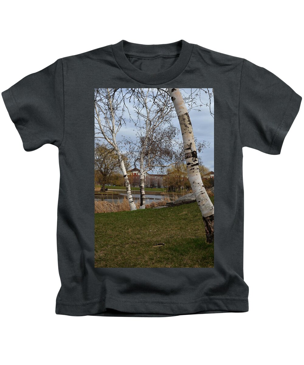 Parc Kids T-Shirt featuring the photograph Bouleaux / Birch Trees 3 by Jean-Marc Robert