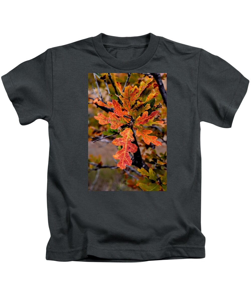 Oak Kids T-Shirt featuring the photograph Branching Oak by Michael Brungardt