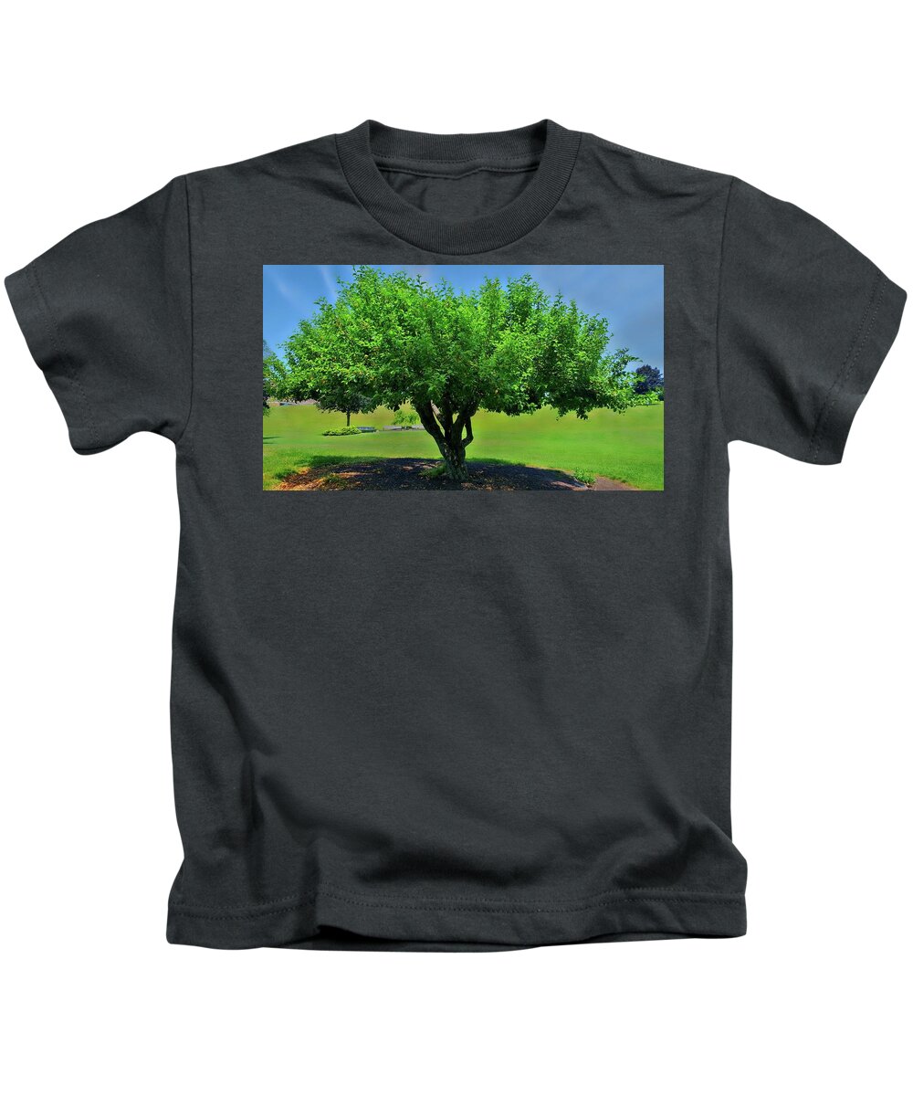 Tree Kids T-Shirt featuring the photograph Branching Out by Dani McEvoy