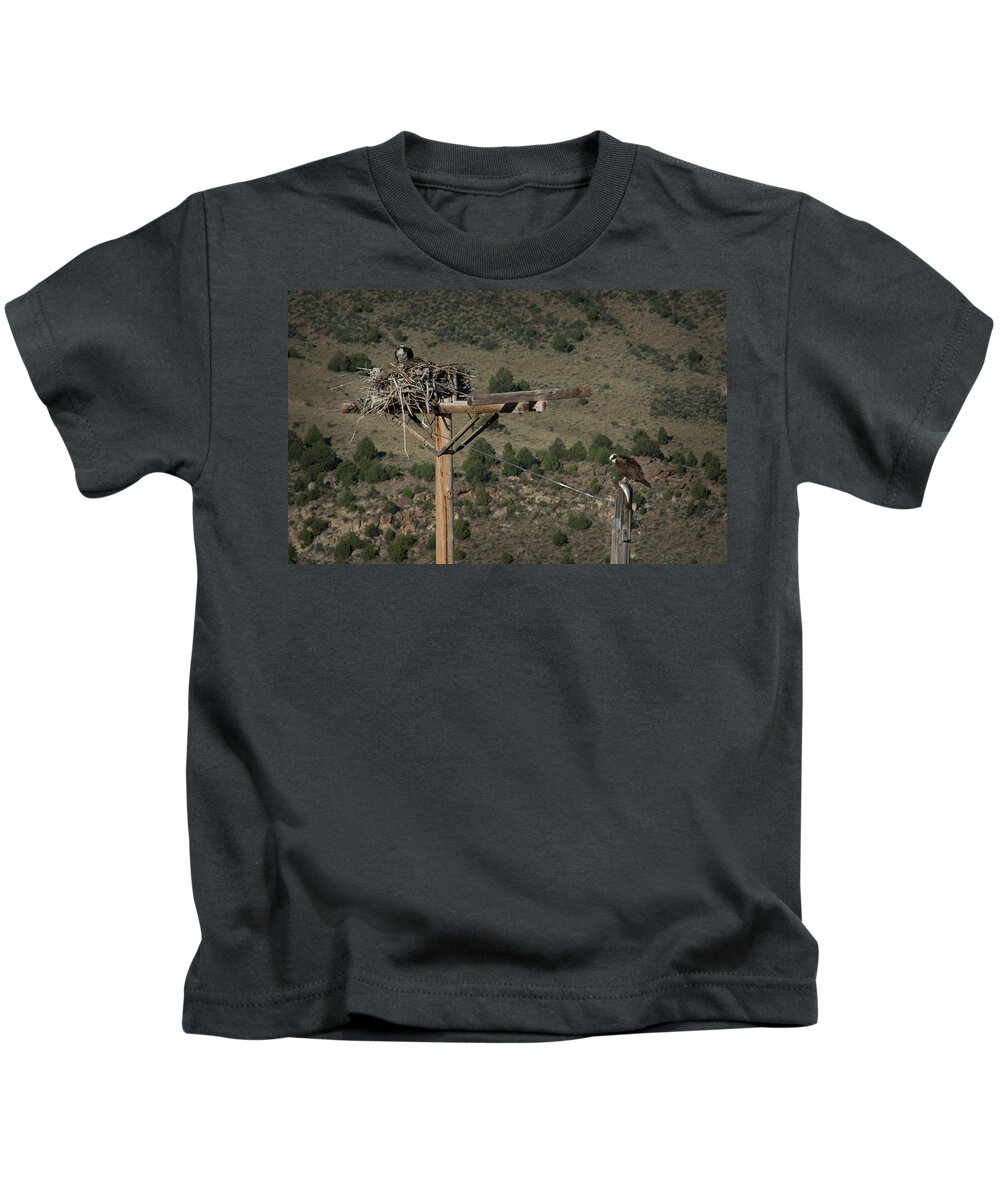 Peregrine Falcon Kids T-Shirt featuring the photograph Breakfast by Brian Duram