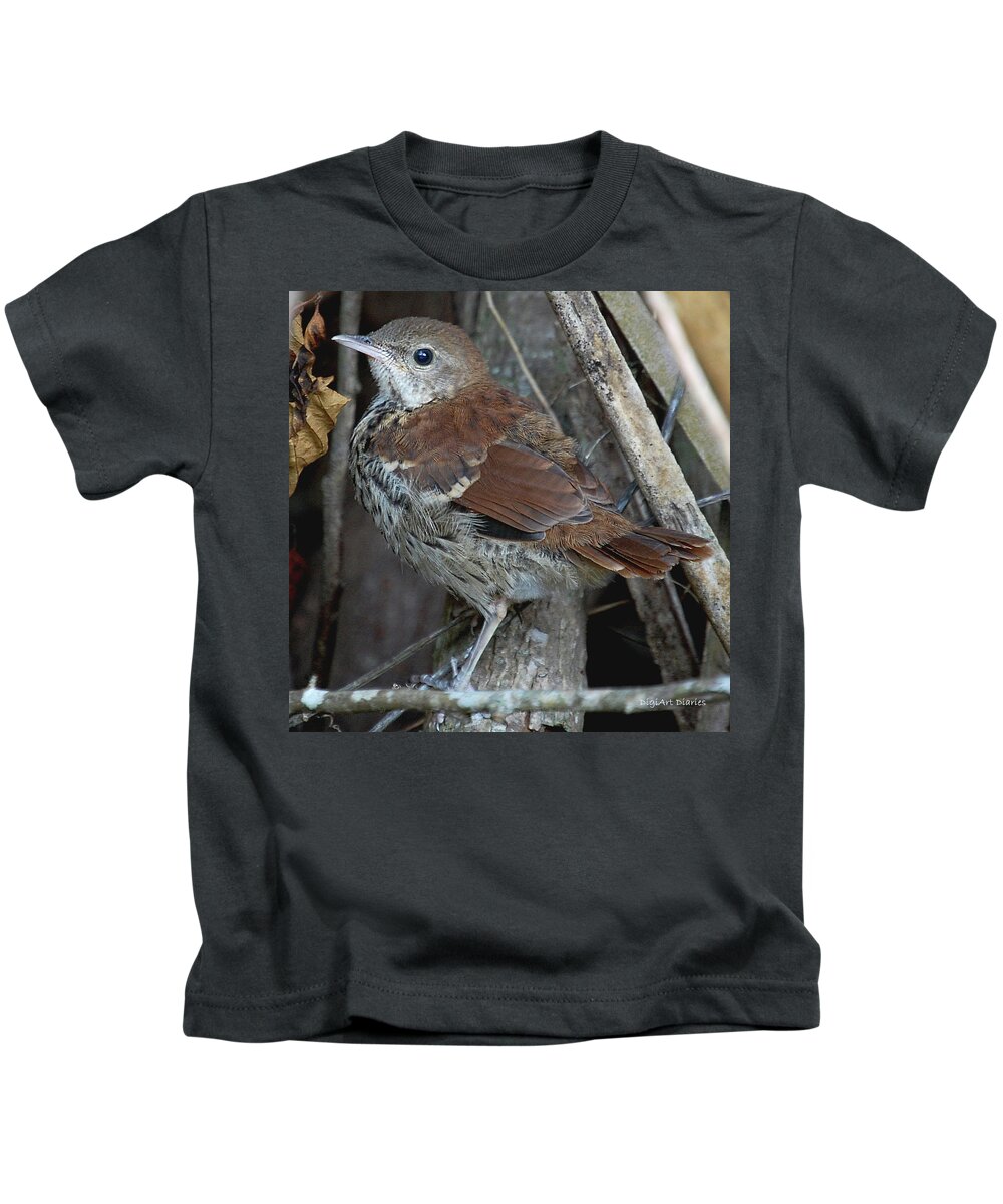 Brown Thrasher Kids T-Shirt featuring the digital art Brown Thrasher Fledgling by DigiArt Diaries by Vicky B Fuller