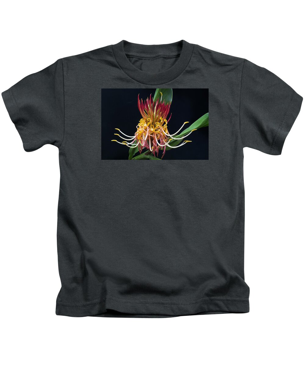 Brownea Macrophylla Tropical Flower Kids T-Shirt featuring the photograph Brownea Macrophylla Tropical Flower by Ken Barrett