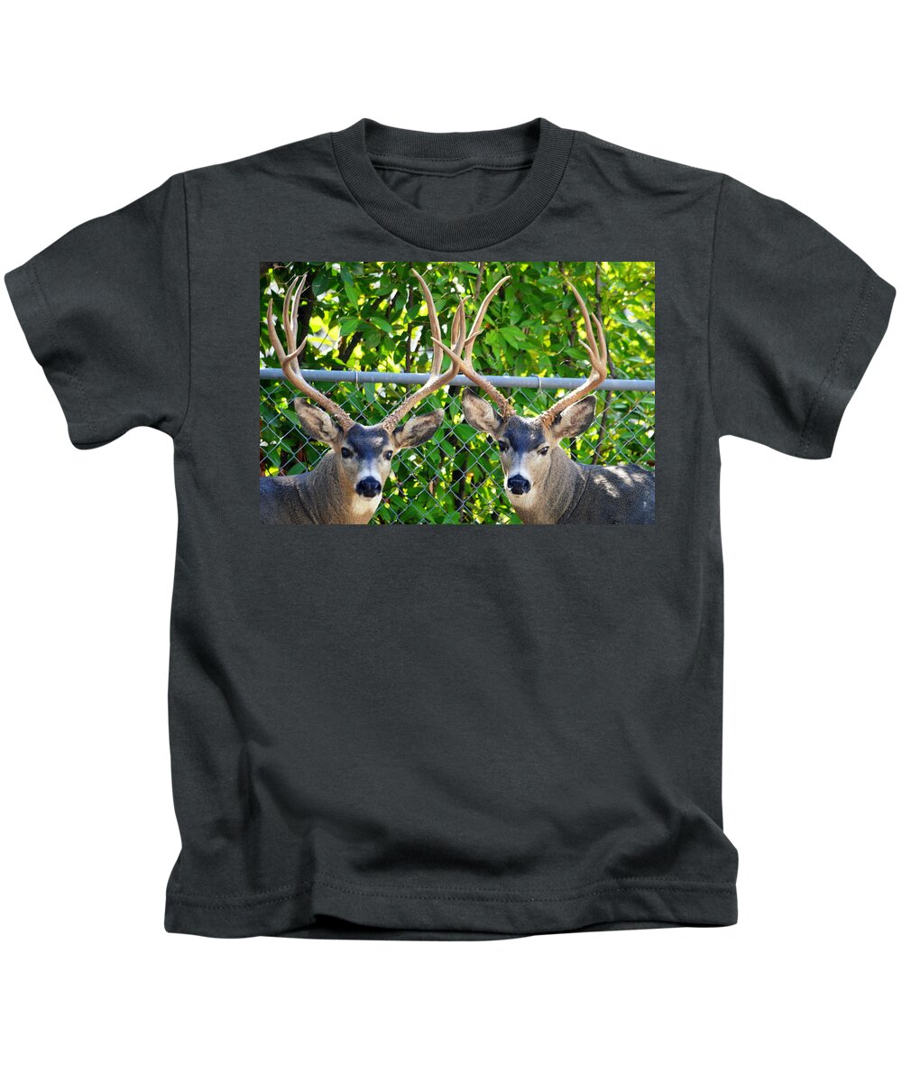 Animals Kids T-Shirt featuring the photograph Buck Eyes by AJ Schibig