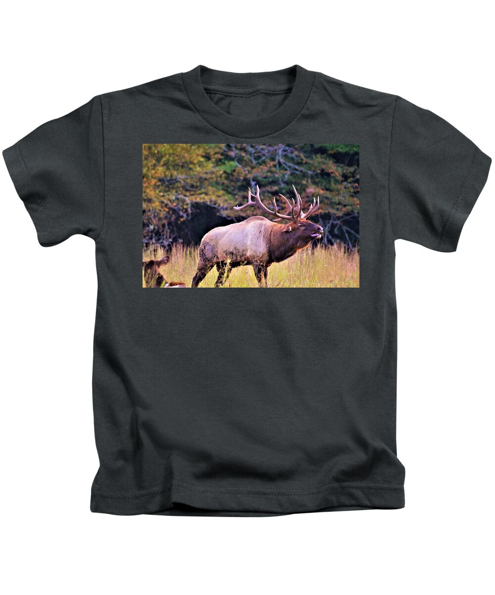Rut Kids T-Shirt featuring the photograph Bull calling his herd by Chuck Brown