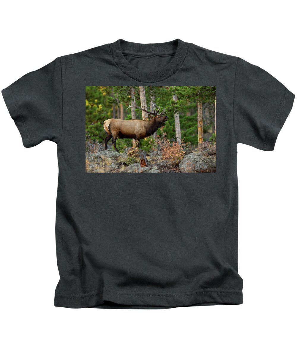 Bull Elk Kids T-Shirt featuring the photograph Bull Elk in the Fall Rut by Gary Langley