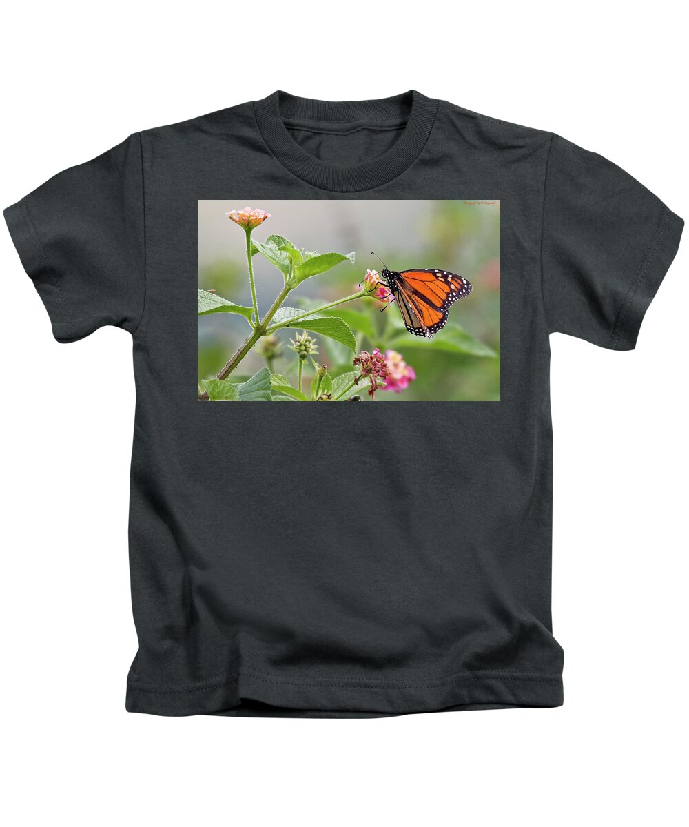 Butterflies Kids T-Shirt featuring the digital art Butterfly beauty 0012 by Kevin Chippindall