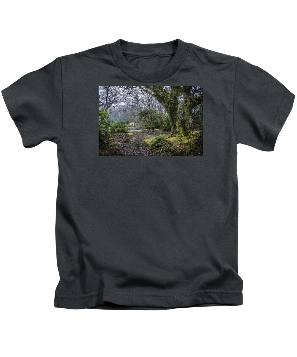Ireland Kids T-Shirt featuring the photograph Cabin in the Woods by WAZgriffin Digital