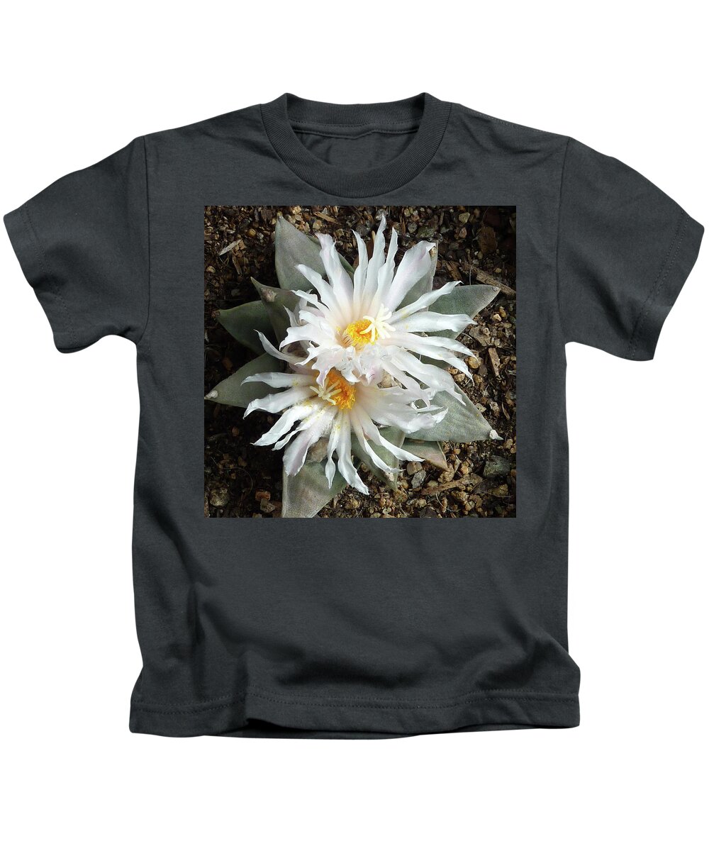 Cactus Kids T-Shirt featuring the photograph Cactus Flower 7 by Selena Boron