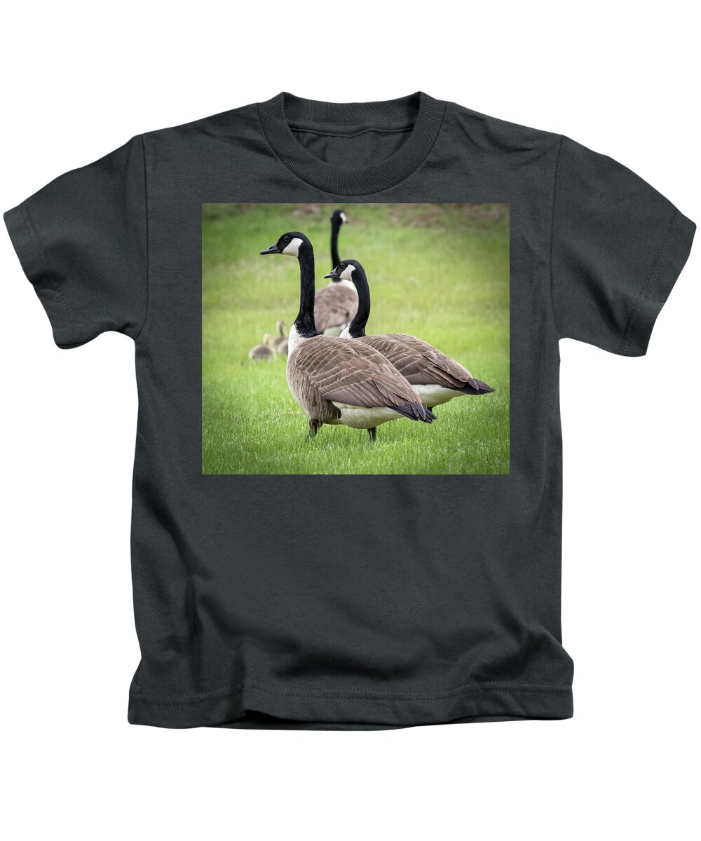 Canada Kids T-Shirt featuring the photograph Canada Geese by Richard Goldman