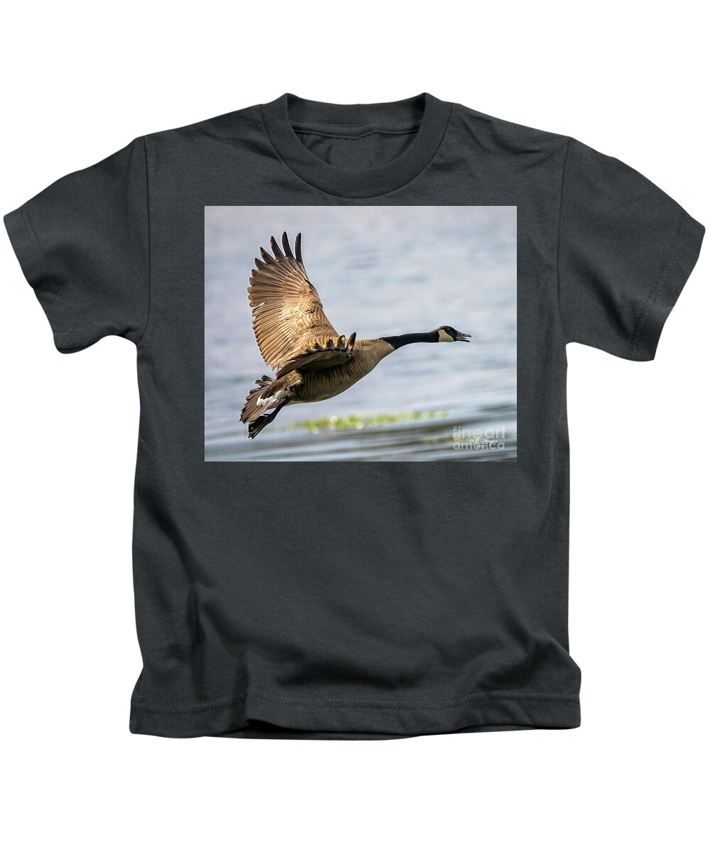 Goose Kids T-Shirt featuring the photograph Canada Goose In Flight by DB Hayes