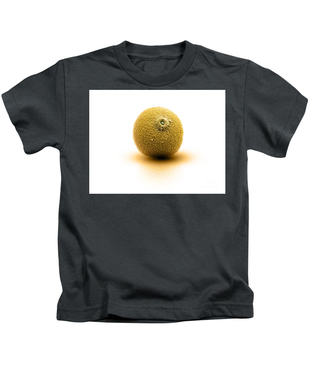 Anatomy Kids T-Shirt featuring the photograph Cannabis Pollen by Ted Kinsman
