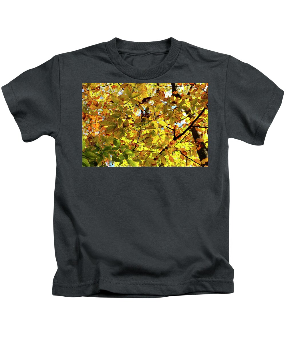 Autumn Kids T-Shirt featuring the photograph Canopy of Autumn Leaves by Angie Tirado