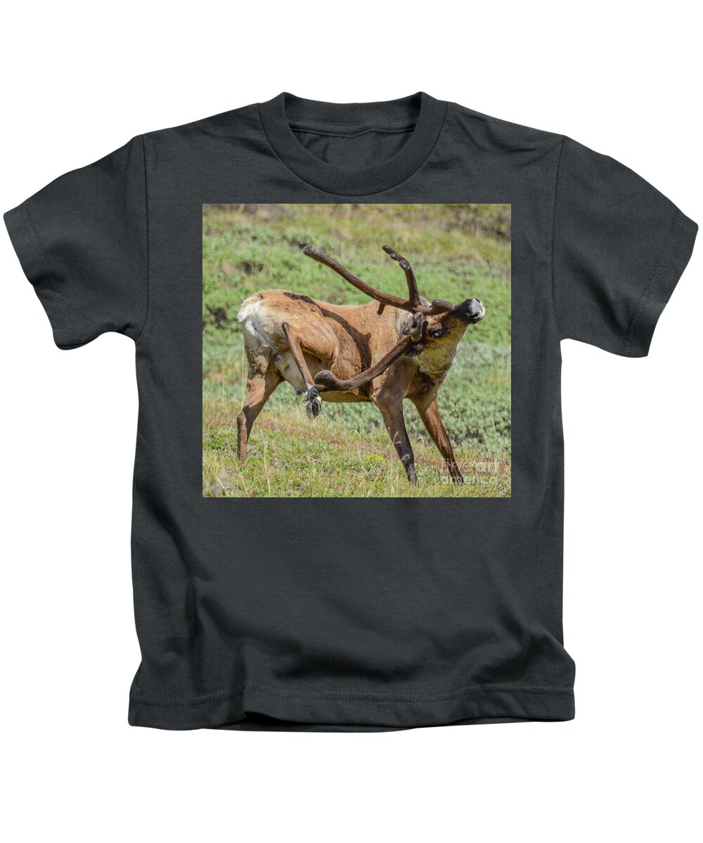 Caribou Kids T-Shirt featuring the photograph Caribou scratching by Barry Bohn