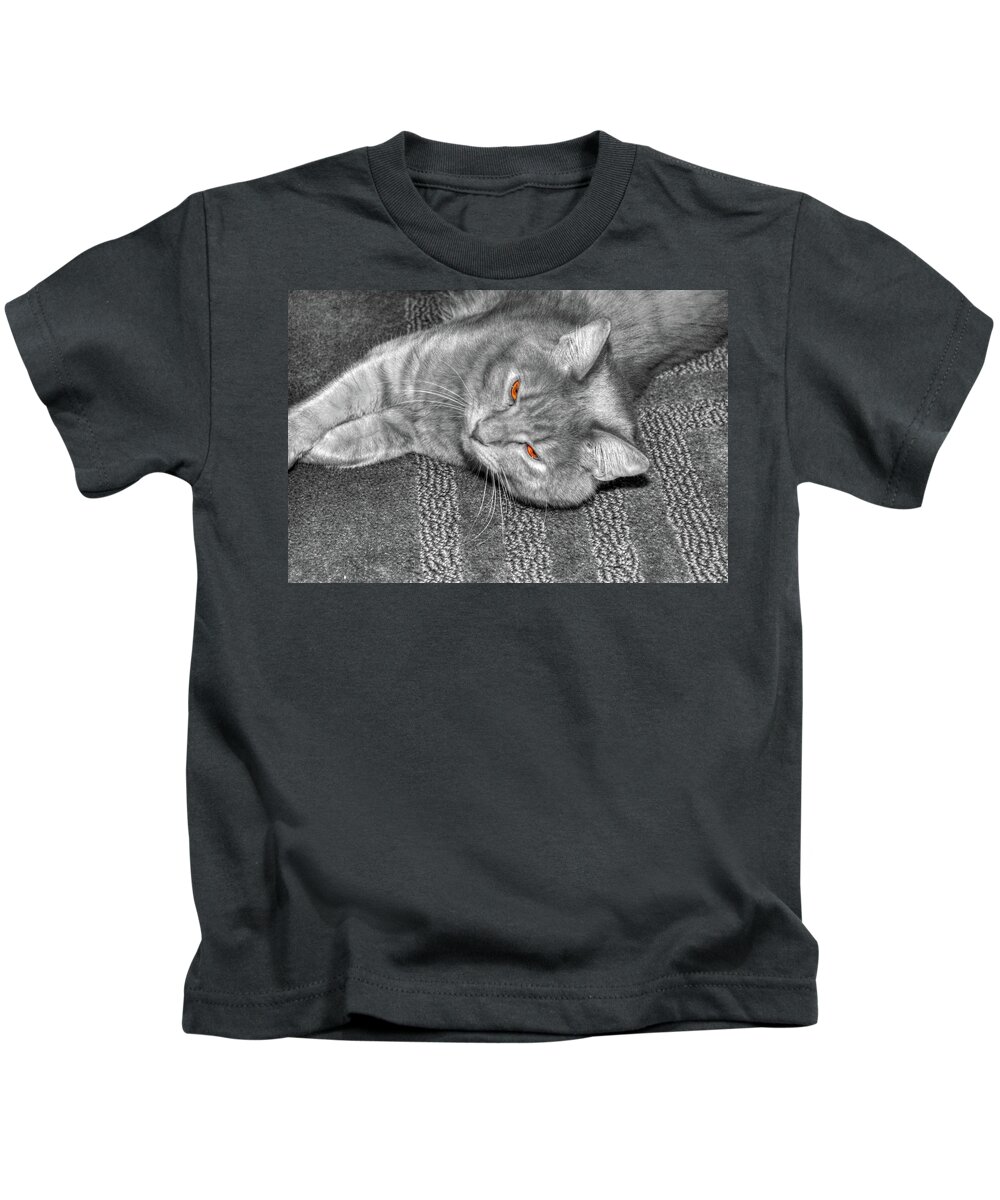 Hdr Kids T-Shirt featuring the photograph Cat Kickin' back by Randy Wehner