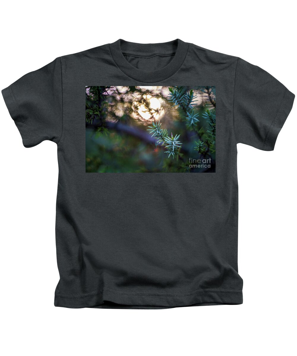 50mm Kids T-Shirt featuring the photograph Cedar Leaf at Sunset Cadiz Bay Natural Park Spain by Pablo Avanzini