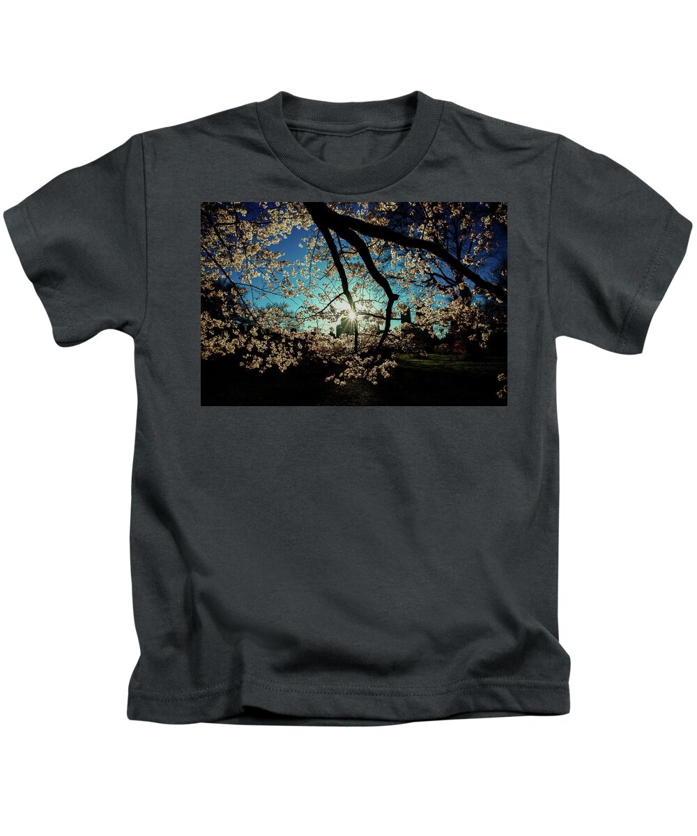 New York City Kids T-Shirt featuring the photograph Central Park Sun by Raf Winterpacht