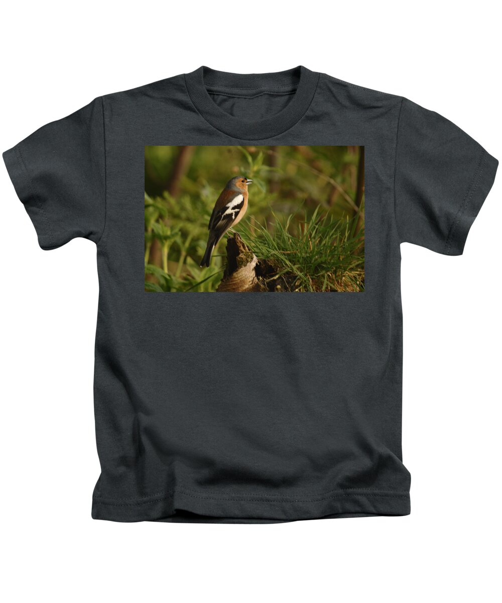 Birds Kids T-Shirt featuring the photograph Chaffinch On Stump by Adrian Wale