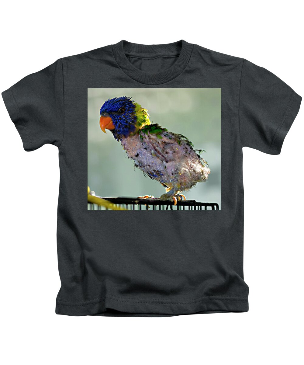 Bird Kids T-Shirt featuring the photograph Charlie after a night out by Jeremy Holton