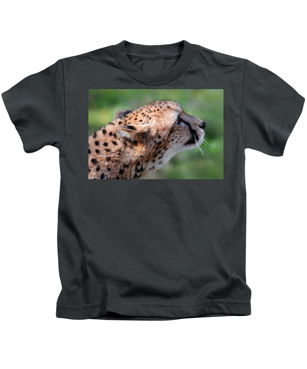 Stephanie Butler Kids T-Shirt featuring the photograph Cheetah by Stephie Butler